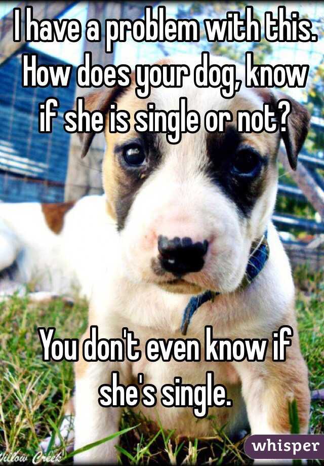 I have a problem with this.
How does your dog, know if she is single or not?




You don't even know if she's single.