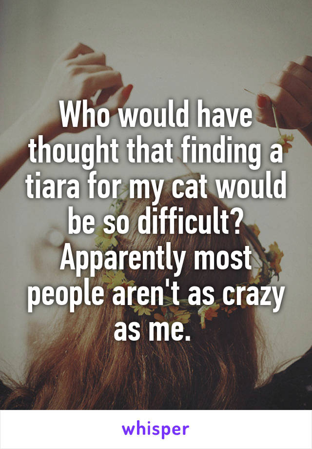 Who would have thought that finding a tiara for my cat would be so difficult? Apparently most people aren't as crazy as me. 