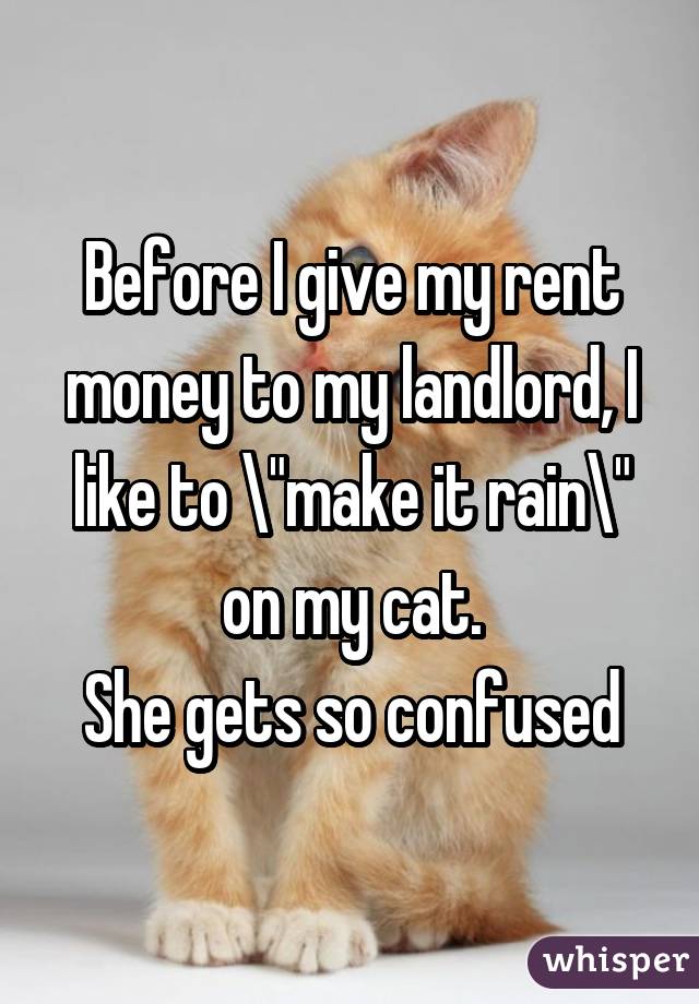 Before I give my rent money to my landlord, I like to "make it rain" on my cat.
She gets so confused