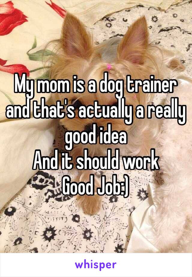 My mom is a dog trainer and that's actually a really good idea 
And it should work 
Good Job:)