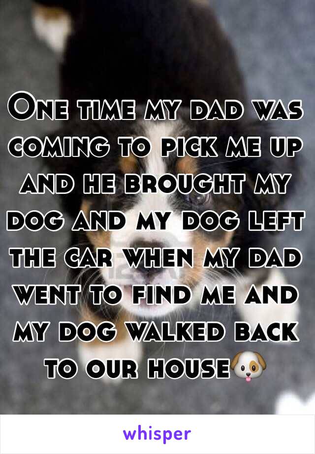 One time my dad was coming to pick me up and he brought my dog and my dog left the car when my dad went to find me and my dog walked back to our house🐶