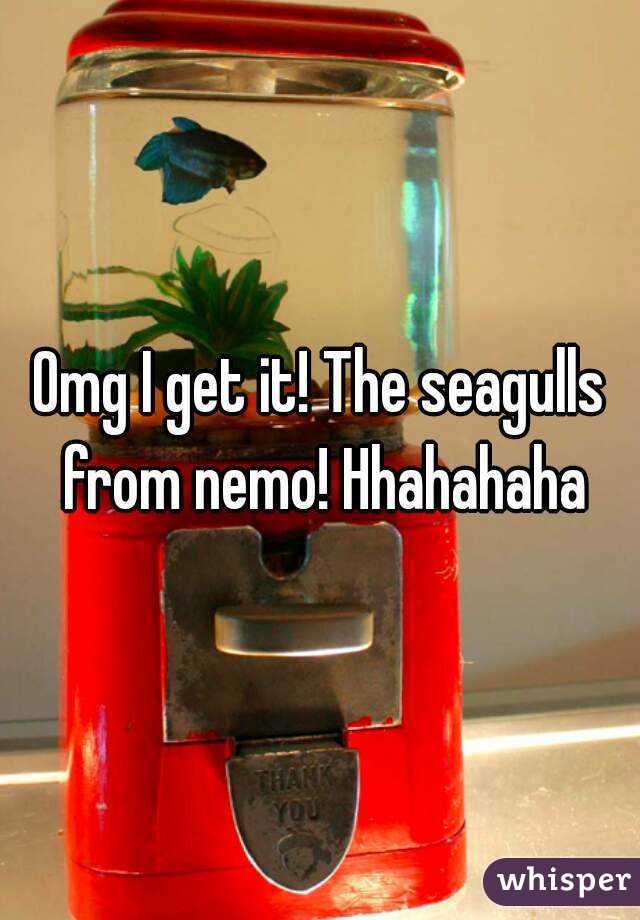 Omg I get it! The seagulls from nemo! Hhahahaha