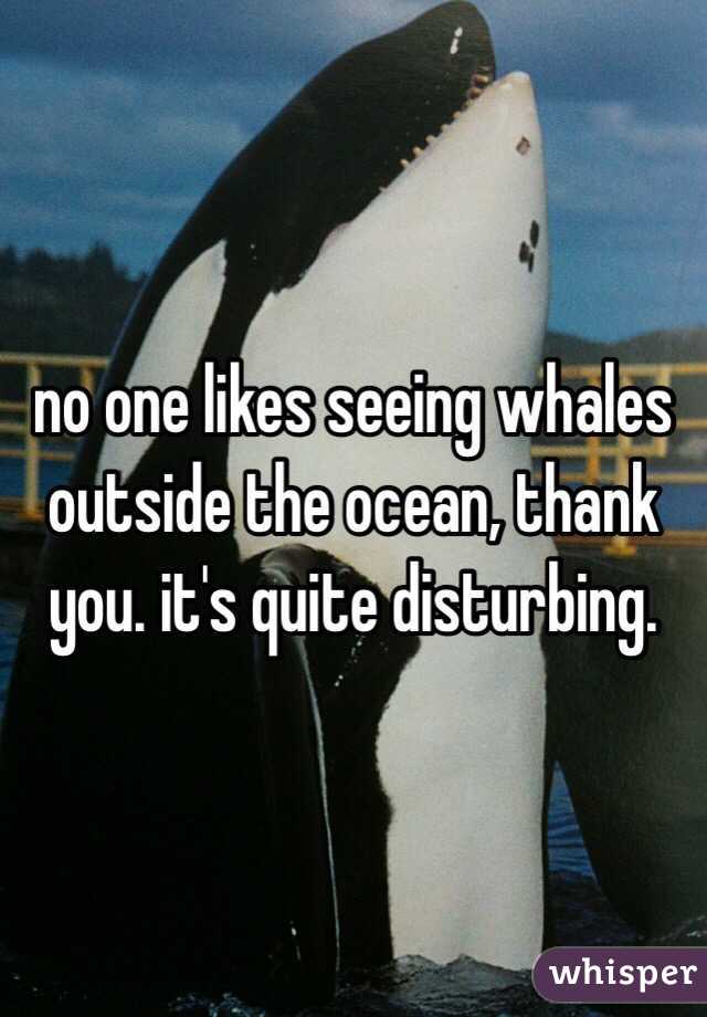 no one likes seeing whales outside the ocean, thank you. it's quite disturbing.