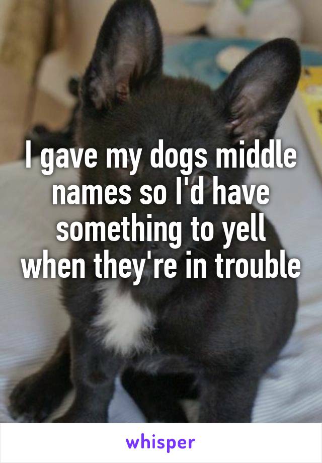 I gave my dogs middle names so I'd have something to yell when they're in trouble 