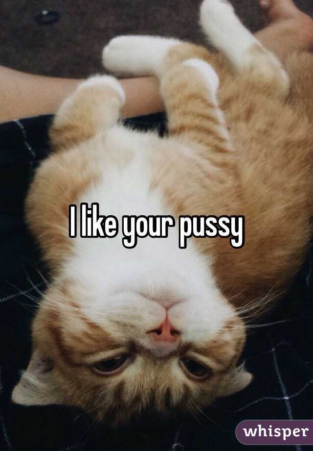 I like your pussy