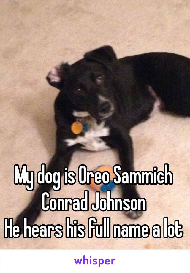 My dog is Oreo Sammich Conrad Johnson
He hears his full name a lot 