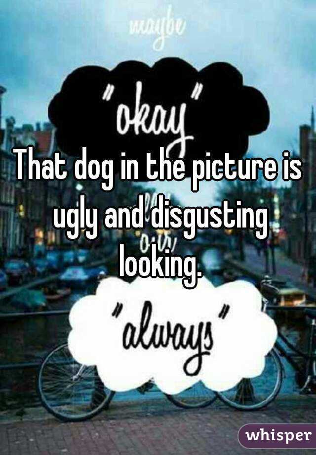 That dog in the picture is ugly and disgusting looking.