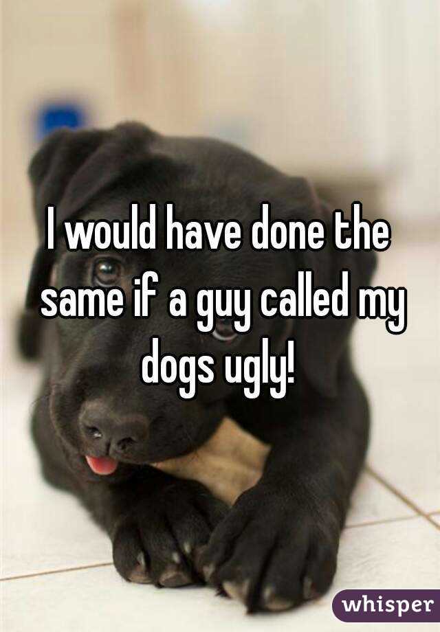 I would have done the same if a guy called my dogs ugly! 