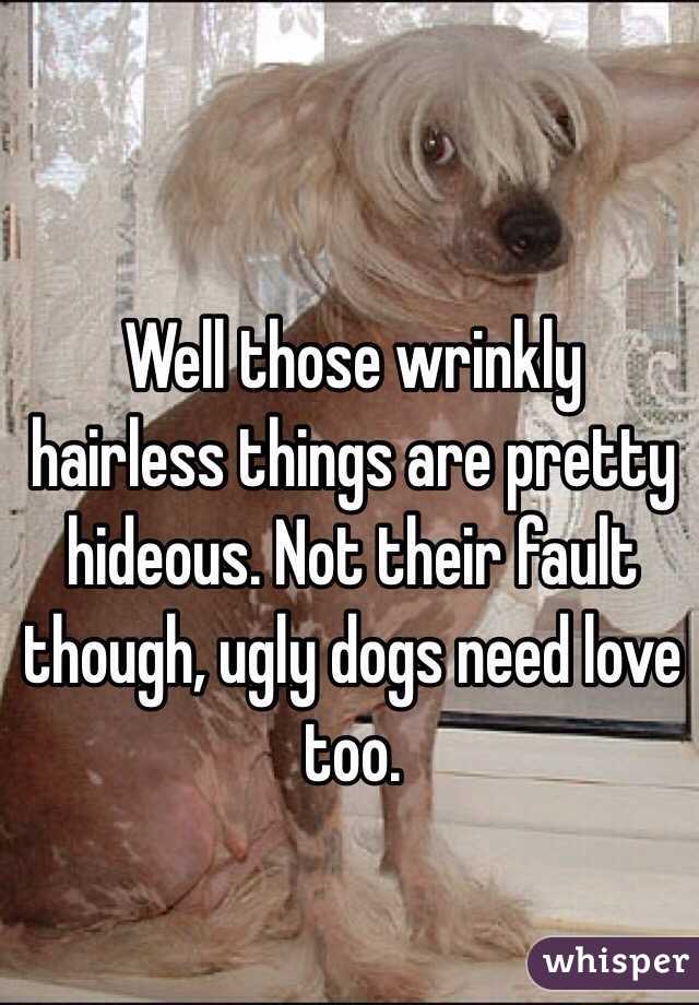 Well those wrinkly hairless things are pretty hideous. Not their fault though, ugly dogs need love too.