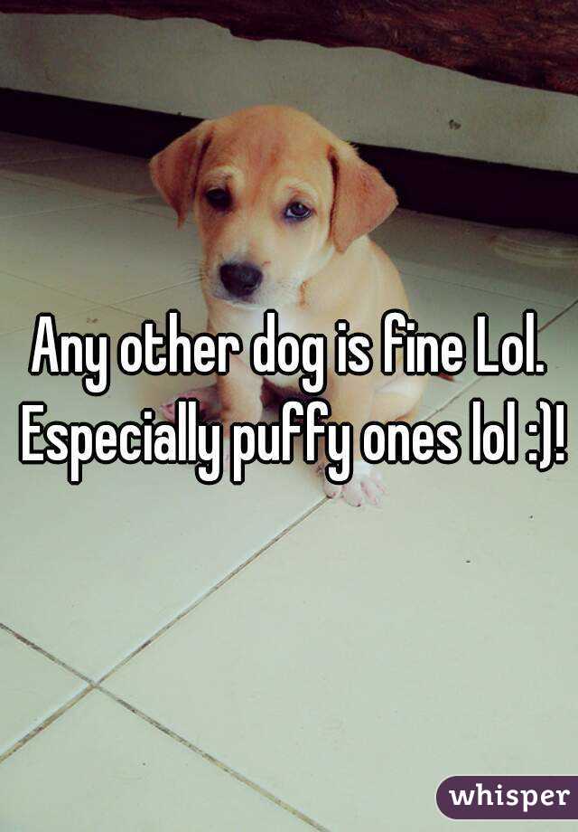 Any other dog is fine Lol. Especially puffy ones lol :)!