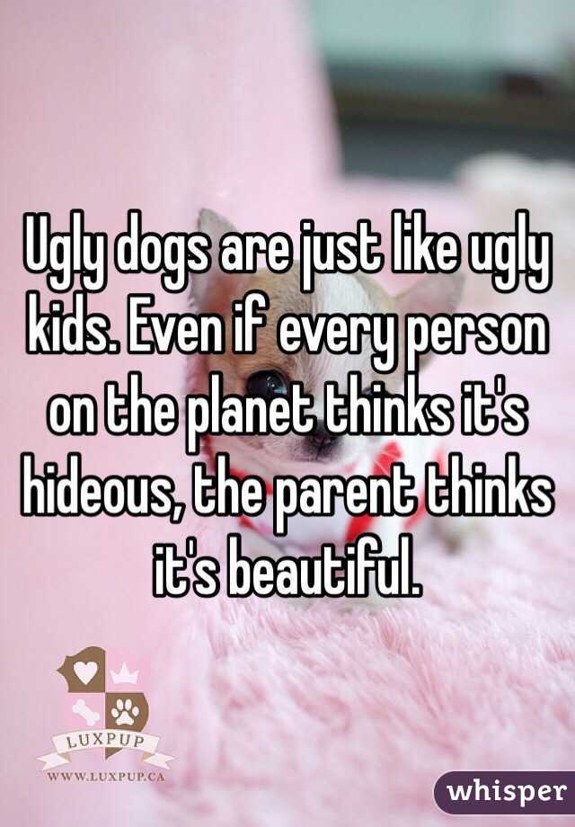 Ugly dogs are just like ugly kids. Even if every person on the planet thinks it's hideous, the parent thinks it's beautiful. 