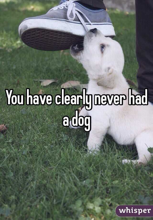 You have clearly never had a dog