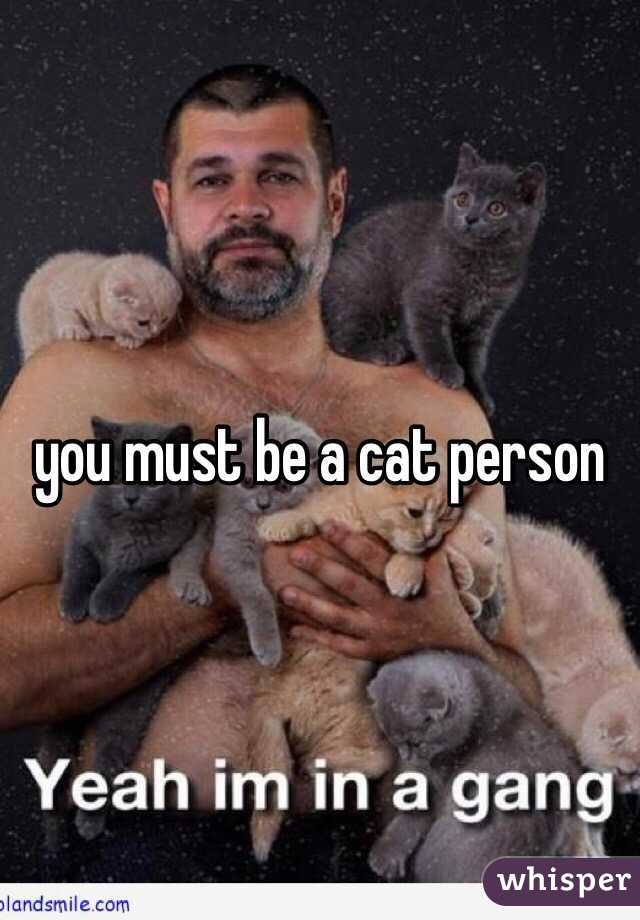 you must be a cat person
