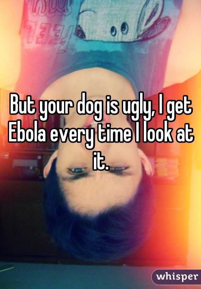 But your dog is ugly, I get Ebola every time I look at it.