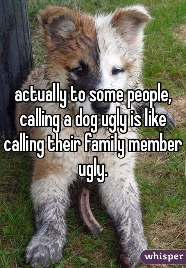 actually to some people, calling a dog ugly is like calling their family member ugly.