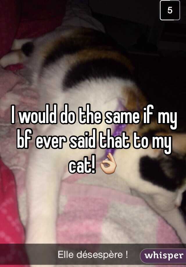 I would do the same if my bf ever said that to my cat!👌