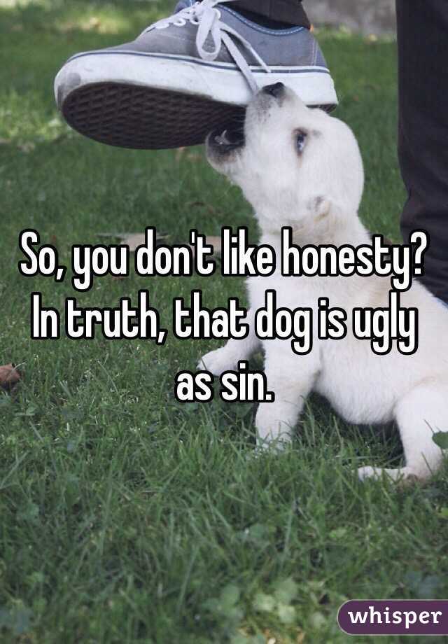 So, you don't like honesty?
In truth, that dog is ugly as sin. 