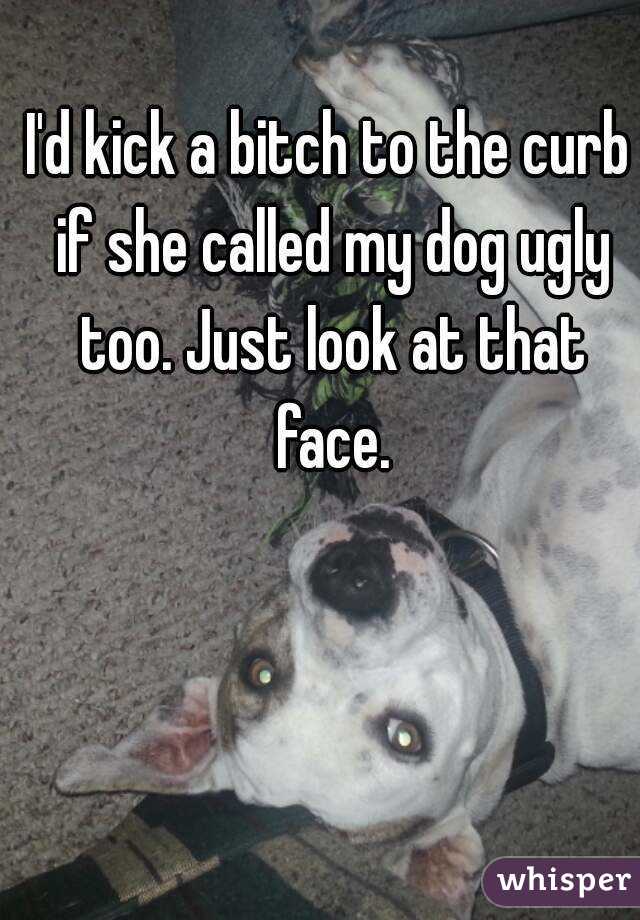 I'd kick a bitch to the curb if she called my dog ugly too. Just look at that face.