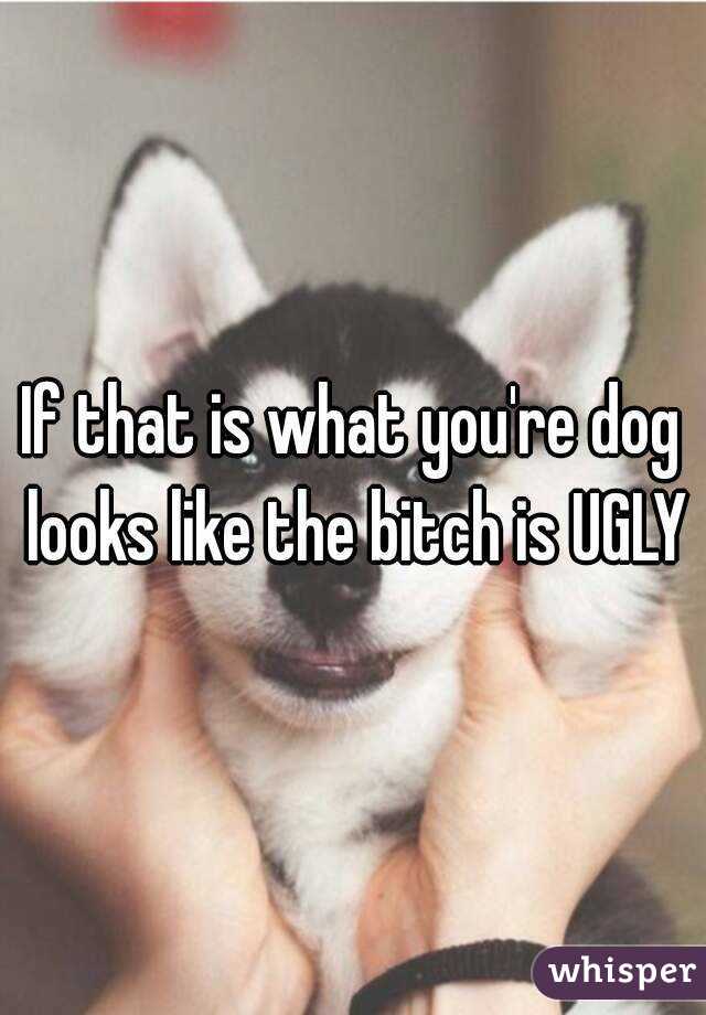 If that is what you're dog looks like the bitch is UGLY