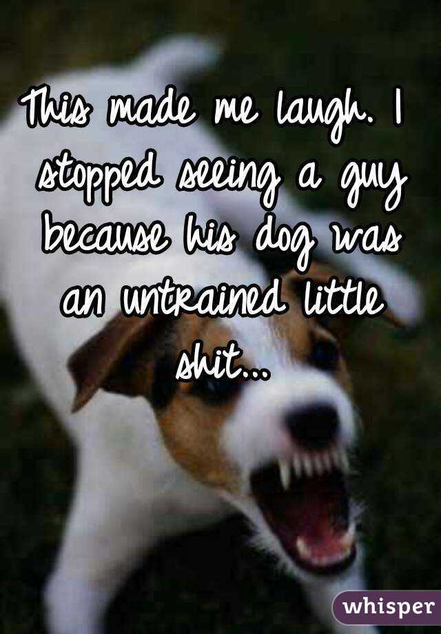 This made me laugh. I stopped seeing a guy because his dog was an untrained little shit...