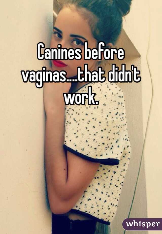 Canines before vaginas....that didn't work.