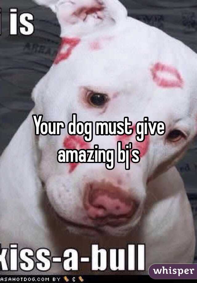 Your dog must give amazing bj's 