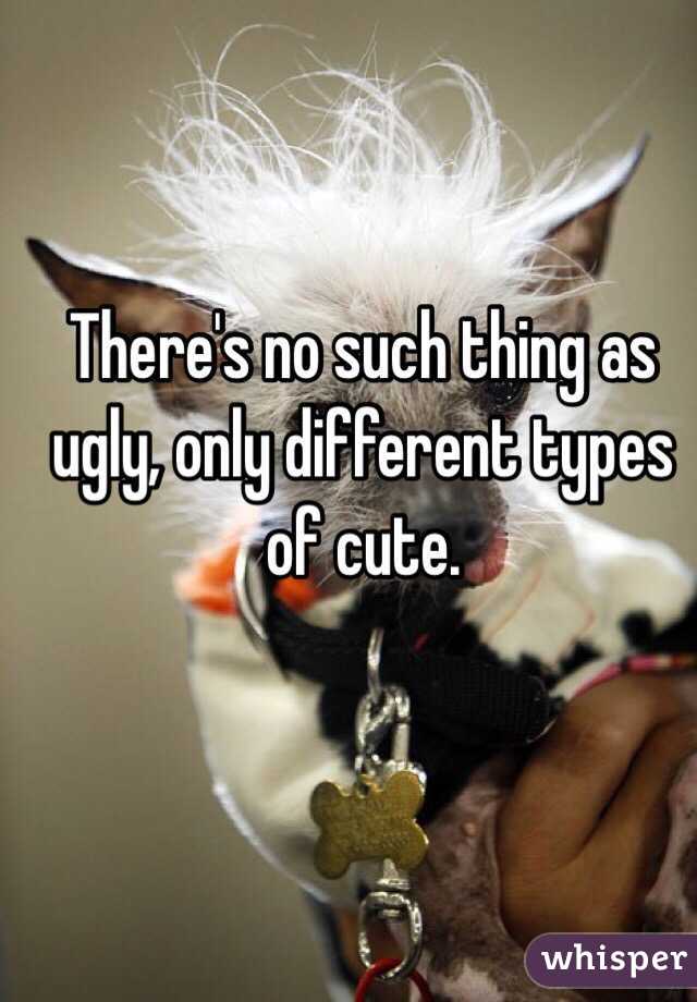 There's no such thing as ugly, only different types of cute.