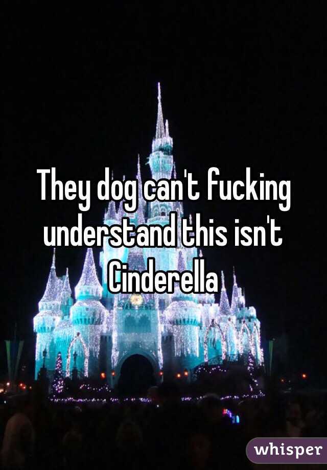 They dog can't fucking understand this isn't Cinderella 