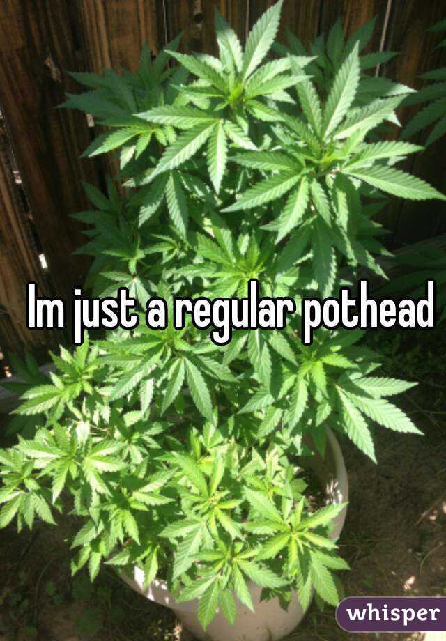Im just a regular pothead