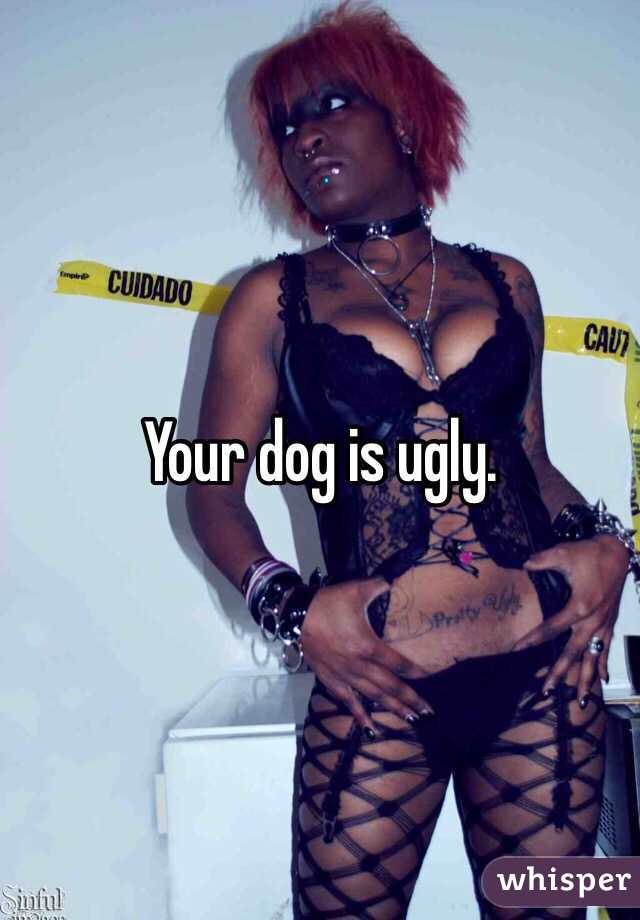 Your dog is ugly. 