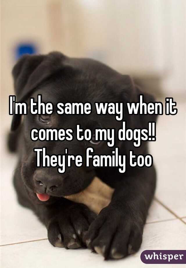 I'm the same way when it comes to my dogs!!  They're family too 