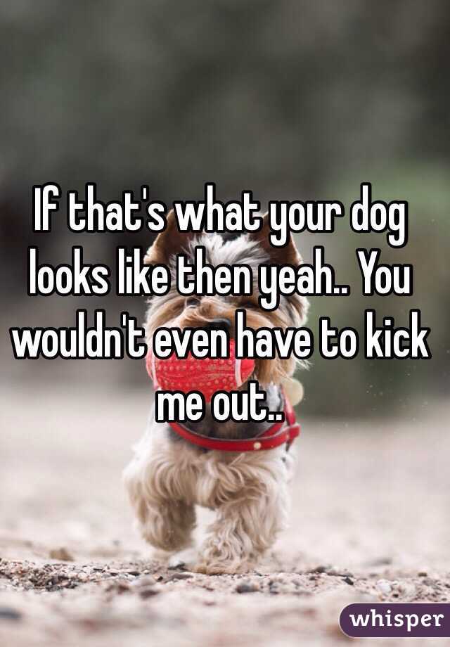 If that's what your dog looks like then yeah.. You wouldn't even have to kick me out.. 