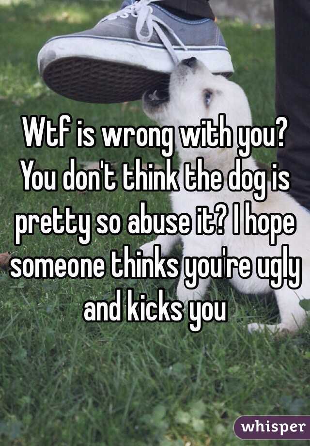 Wtf is wrong with you? You don't think the dog is pretty so abuse it? I hope someone thinks you're ugly and kicks you 