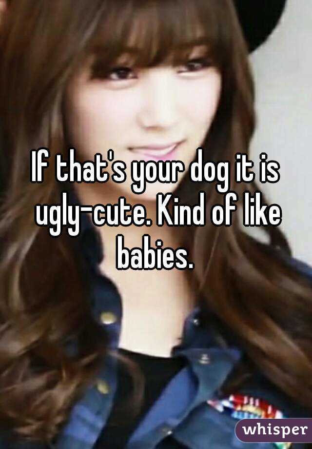 If that's your dog it is ugly-cute. Kind of like babies. 