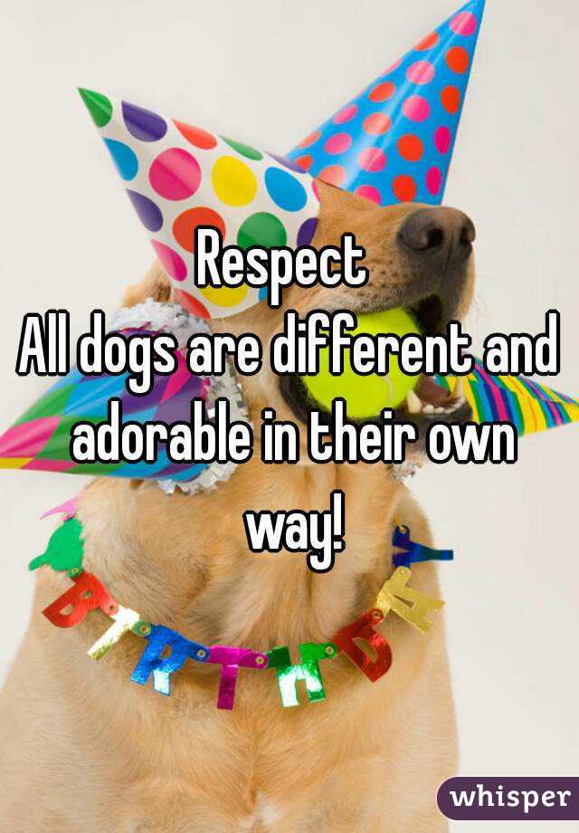 Respect 
All dogs are different and adorable in their own way!