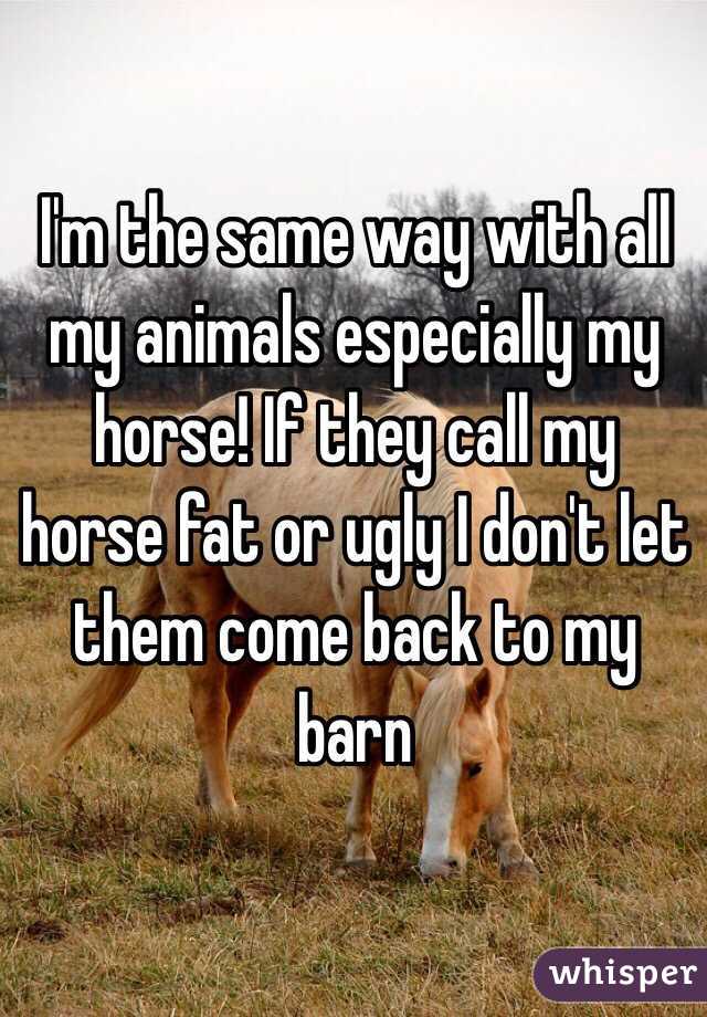 I'm the same way with all my animals especially my horse! If they call my horse fat or ugly I don't let them come back to my barn 