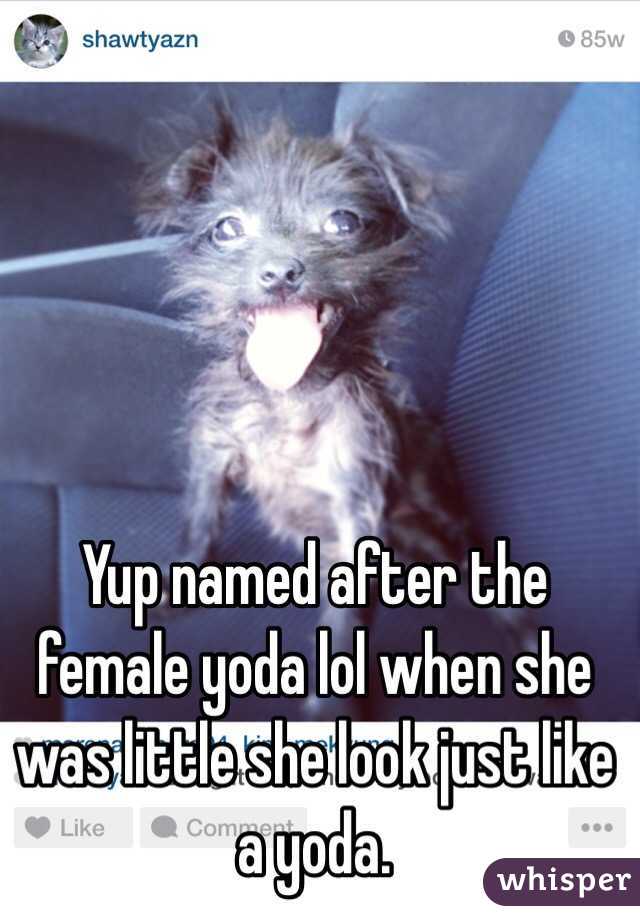  Yup named after the female yoda lol when she was little she look just like a yoda. 