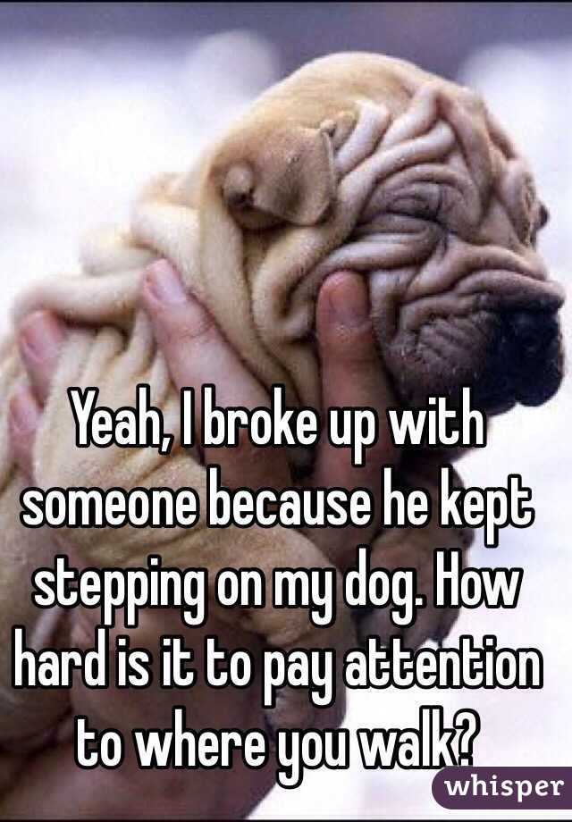 Yeah, I broke up with someone because he kept stepping on my dog. How hard is it to pay attention to where you walk?