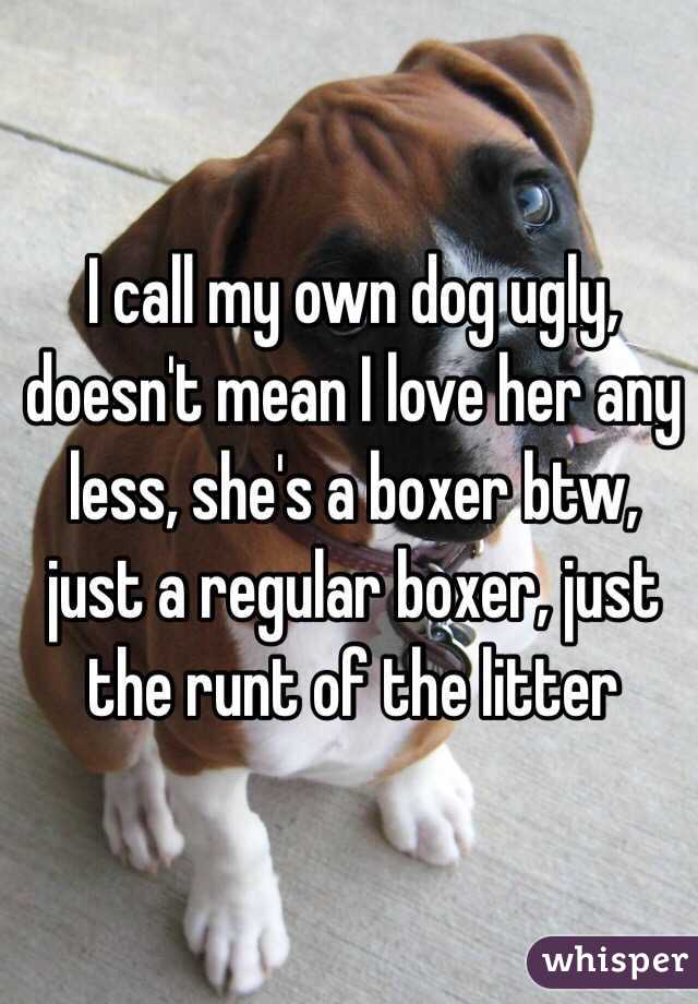 I call my own dog ugly, doesn't mean I love her any less, she's a boxer btw, just a regular boxer, just the runt of the litter