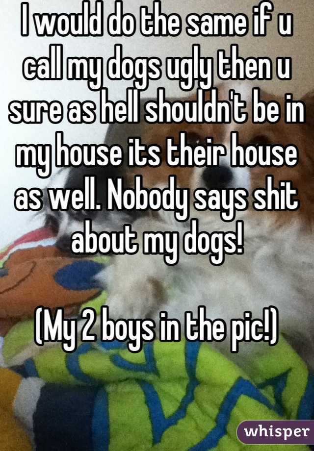 I would do the same if u call my dogs ugly then u sure as hell shouldn't be in my house its their house as well. Nobody says shit about my dogs!

(My 2 boys in the pic!)