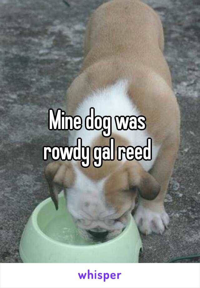 Mine dog was 
rowdy gal reed 