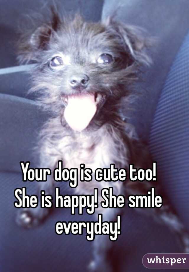 Your dog is cute too! 
She is happy! She smile everyday! 