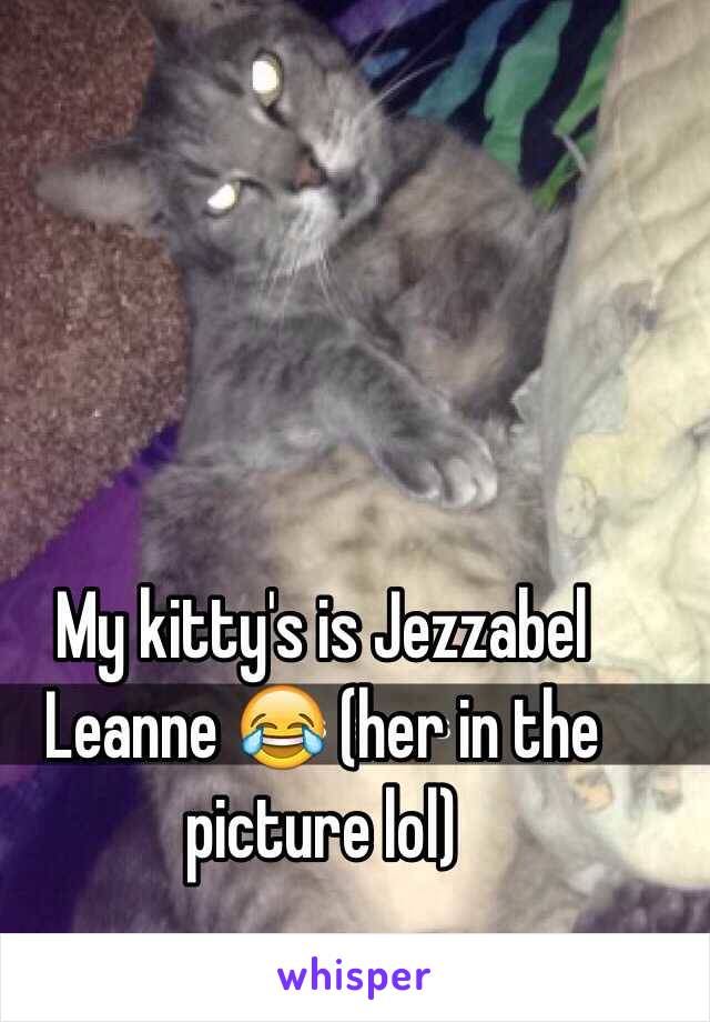 My kitty's is Jezzabel Leanne 😂 (her in the picture lol)