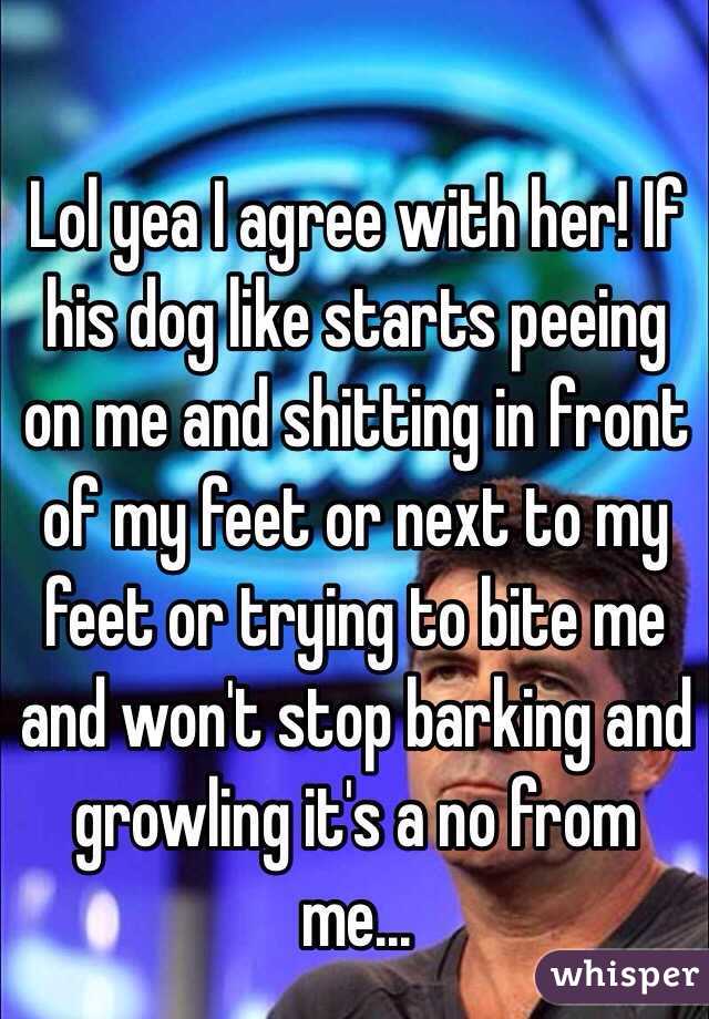 Lol yea I agree with her! If his dog like starts peeing on me and shitting in front of my feet or next to my feet or trying to bite me and won't stop barking and growling it's a no from me...