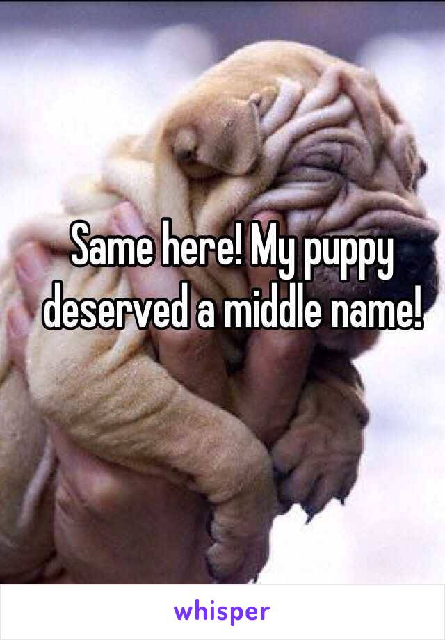 Same here! My puppy deserved a middle name!
