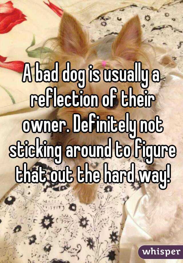 A bad dog is usually a reflection of their owner. Definitely not sticking around to figure that out the hard way!