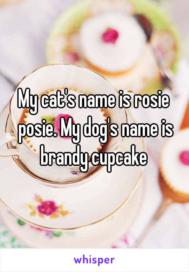 My cat's name is rosie posie. My dog's name is brandy cupcake 