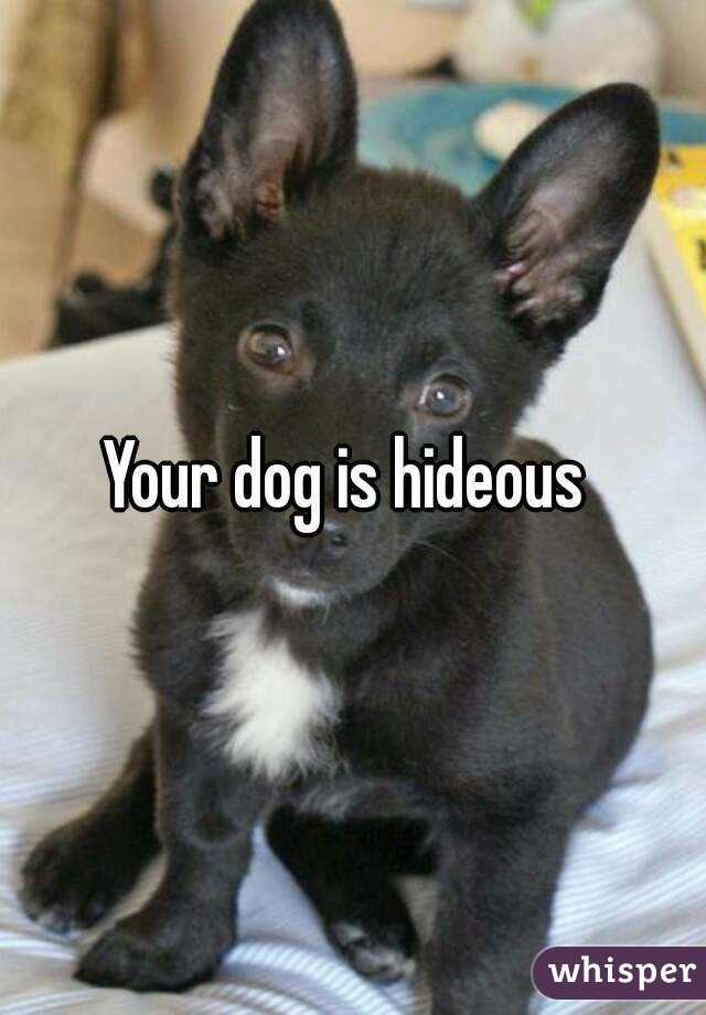 Your dog is hideous 