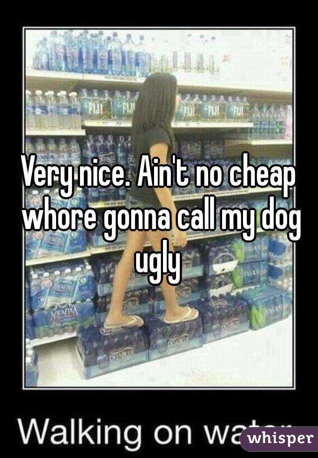 Very nice. Ain't no cheap whore gonna call my dog ugly 