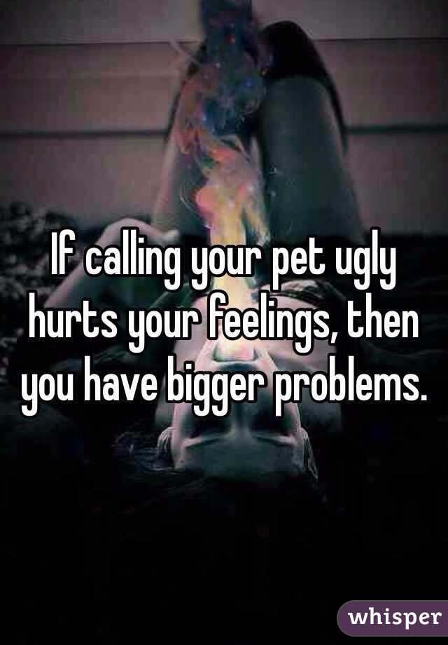 If calling your pet ugly hurts your feelings, then you have bigger problems. 